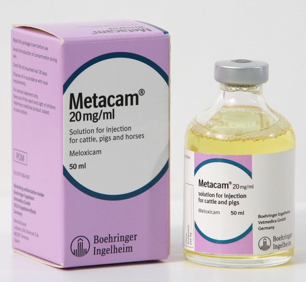 Buy Metacam Online