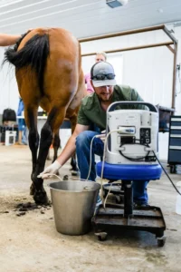 Buy Alflutop Injection