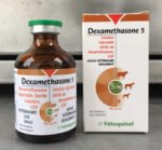 Buy Dexamethasone 5 Online