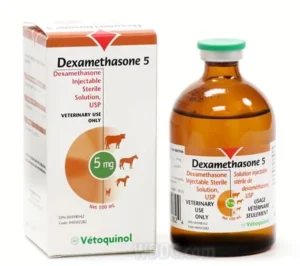 Buy Dexamethasone 5 Online