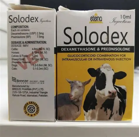 Solodexfor sale Online