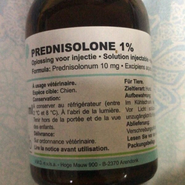 Prednisolone 1%