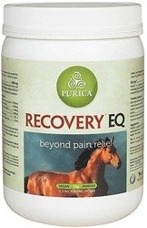 Buy Recovery EQ Powder Online – Trusted Equine Care