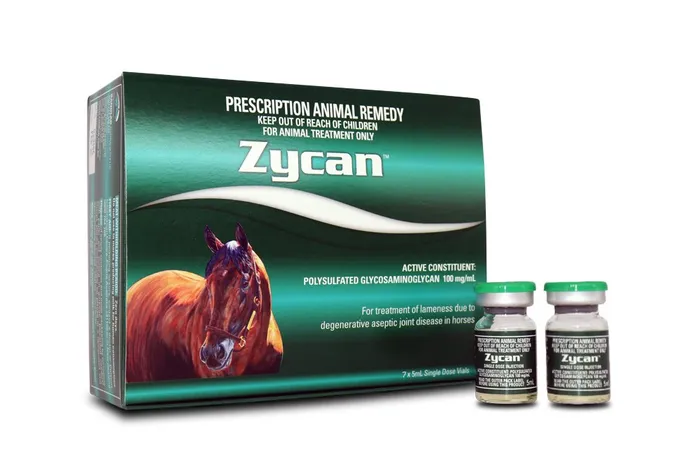 Zycan Horse Injection | Joint Comfort & Performance Support