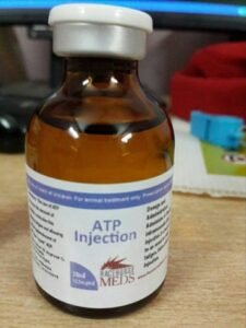 ATP injection ATP injection