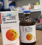 Buy Dexaphenylarthrite for Horses | Joint Pain Relief – Horse Vet Meds