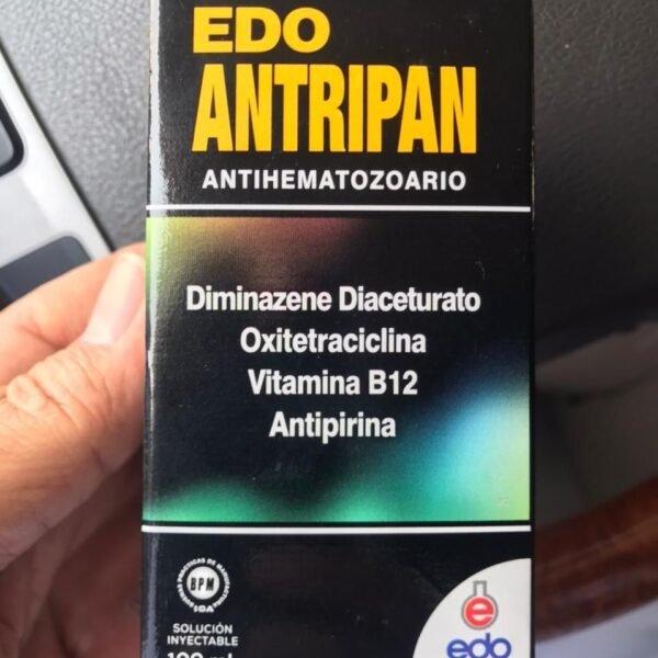 Edo Antipran