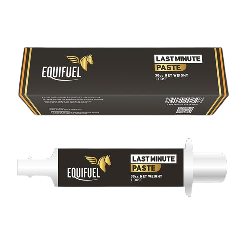 Buy Last Minute Paste Online – Proven Pre‑Race Formula