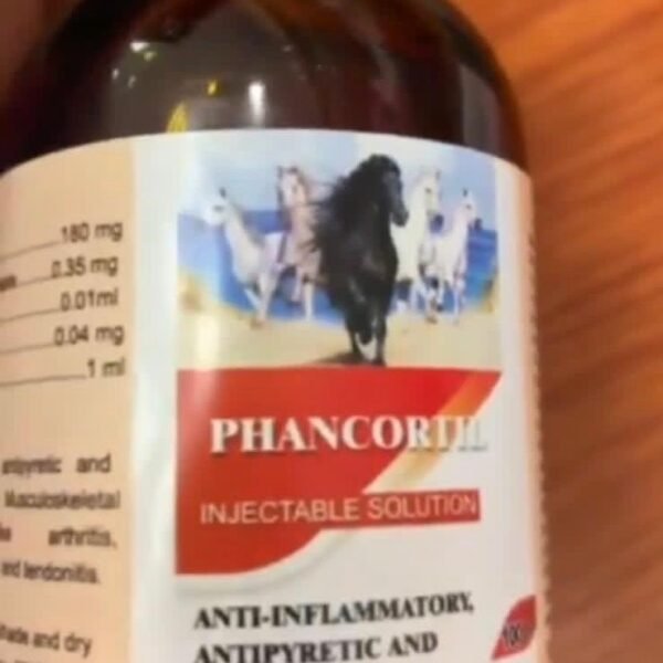 phancortil injectable solution