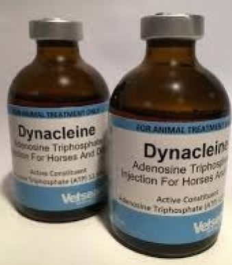 Dynacleine.jpg