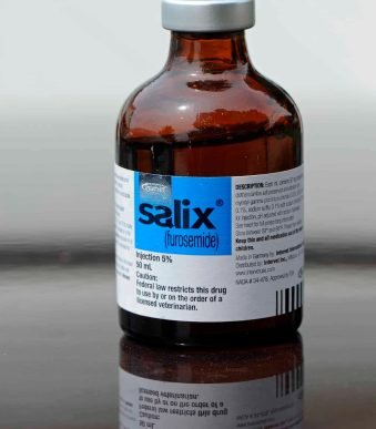 Buy Salix Injection – Veterinary Solution for Fluid Retention