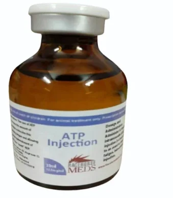 ATP Injection – Advanced Metabolic Support for Animals